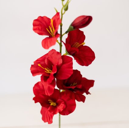 14d03c13 acc8 4749 a39a 19bbdfe9aa7d