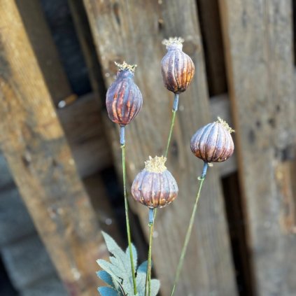 ba055983 3a5b 4aeb 8a01 2f3436e5030b