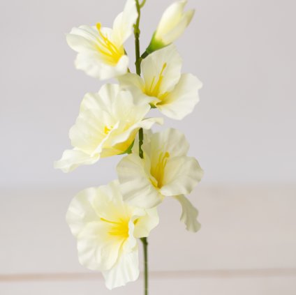 5e80ff46 f0b9 4c58 8c17 23afd3c47947