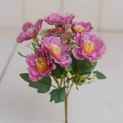 21d37f91 3704 4c93 bd36 dcab7a2e9dd0