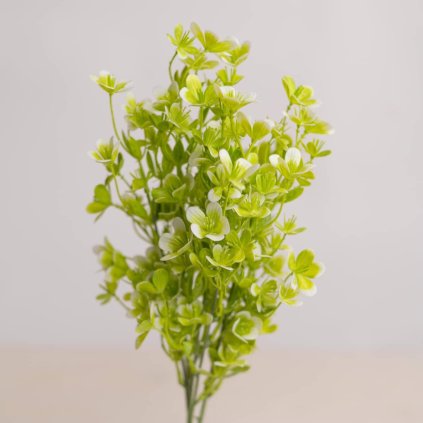 6f9c1d8f 43c1 4588 99d1 06599a627c20