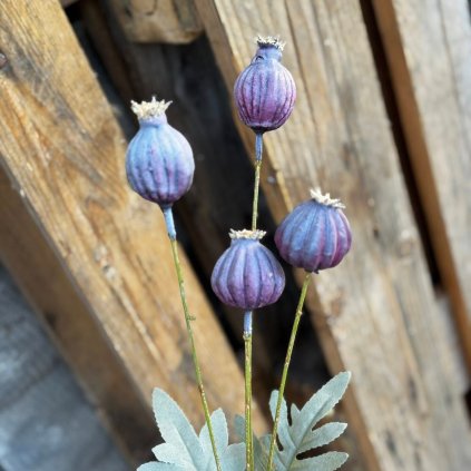 b6ca2da5 ec10 4c7c a6c0 2995945d3ac5