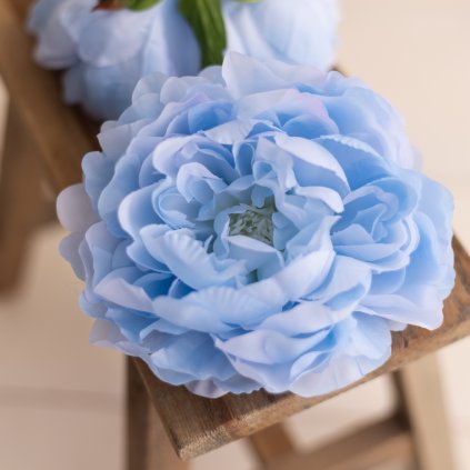 ef13a81f ce81 4a35 9457 345eeb9a96b1