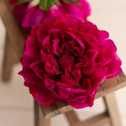 88d52609 1a24 435c bece 2543e3da591a