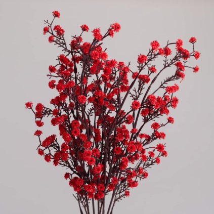 d912c23a 537b 427b 92d5 8155b36c5e01