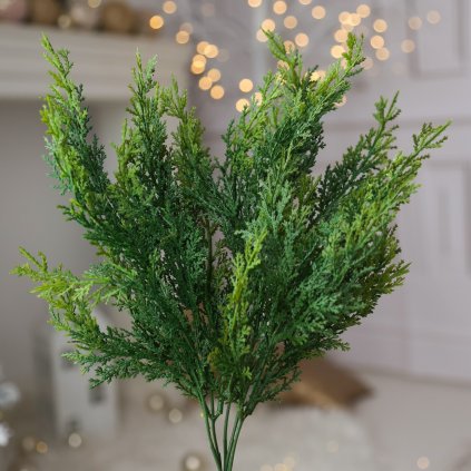 f834d812 4af8 4aa1 bd78 6f45f5981bd8