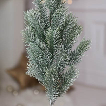 4c55bbe6 9e5a 482b 8bec 987c35def5d1