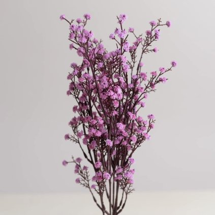 17b799b6 9deb 456a bb3a d85c6f5a520f