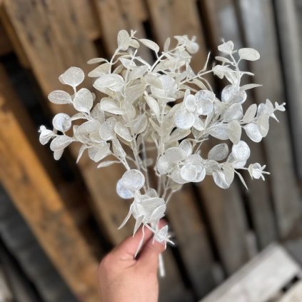 cd0728b3 6e39 436b a243 43f5a87bfb48