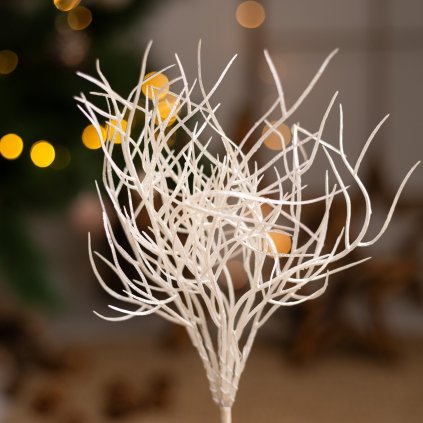 8ba55bbc 1291 4b6f 8a5e 9871c311720c