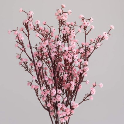 01607dd9 445e 48f2 9284 4ffda407a788