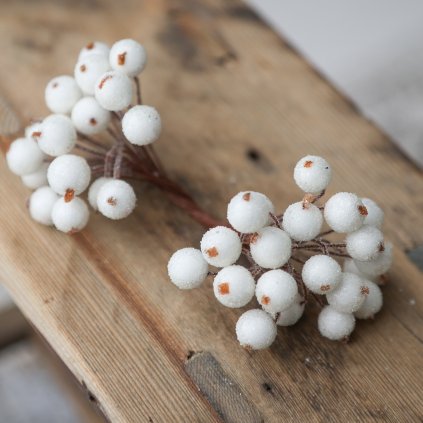 b2cd5c2d b9f1 4cf7 9191 a535f7022203