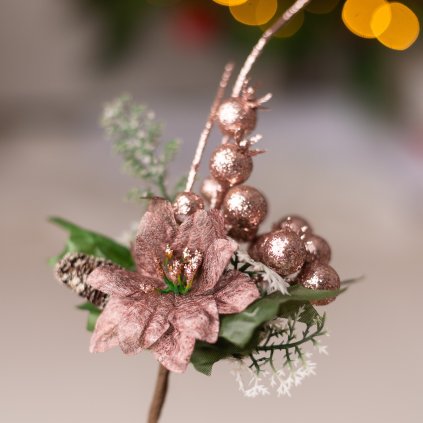 98d27fb3 743c 4dd4 a919 ffa765d83cf0