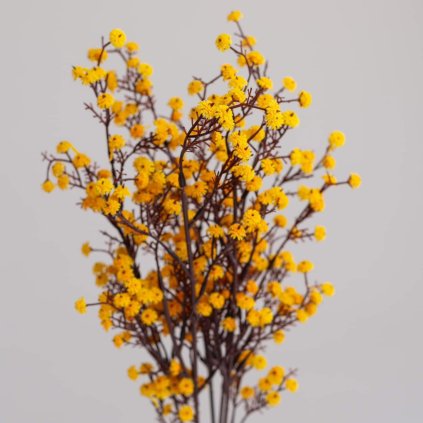 04e7a8d9 c2b0 47e0 976b a1813346fe64