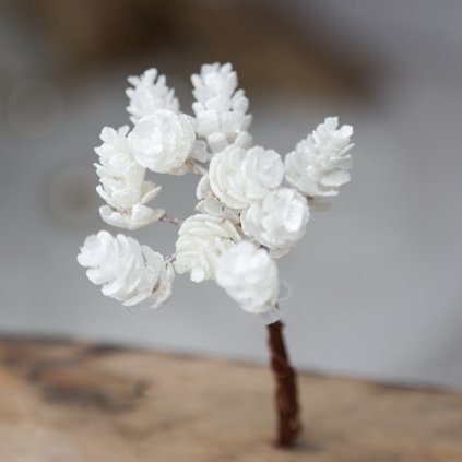 dc83cb93 b64c 42aa bcd7 3cc36b435806