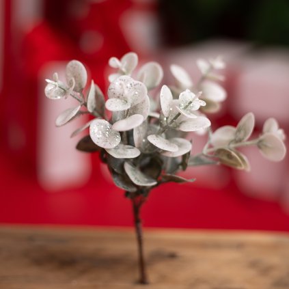 a0999c07 9234 4de8 ac7b 4f74cfe08062