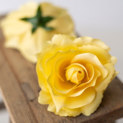 fd7263a6 5ba8 46ee 8997 89f3d7070f43