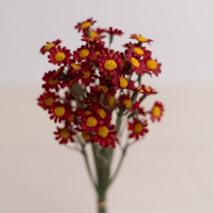 b2c3ed67 c2e4 42d2 8bb4 00b2f682abd1