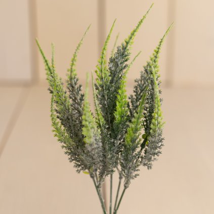 7d6429ff d5c0 46e7 a859 1607a33a3242