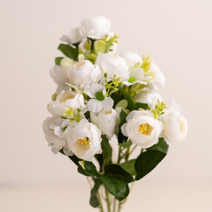 c1855d8b 144c 4a93 b700 f67e9d7e771c