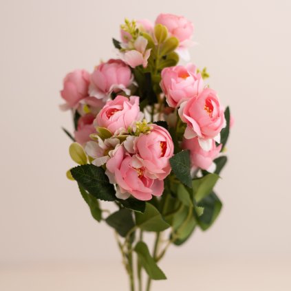 3bc5691b d529 4e50 bcdf 7530e9b34e77