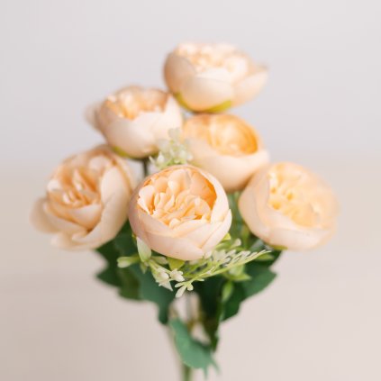 83eef36c 160c 4489 8c62 b08b8ac165a7