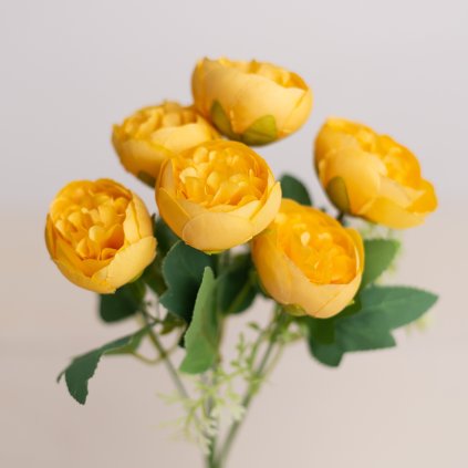 f15a4cca b36b 4916 b813 40ac9a5bbd40