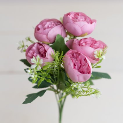 bf567e7c 7b68 43c6 9c0d 987ebd289135