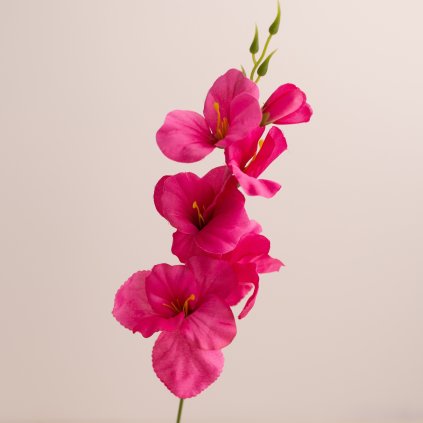 ec93f0f7 c8d9 4c1a a74d 8955740b191d