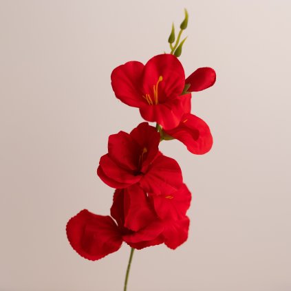 6871d235 ccab 4b19 b7c1 d976c766a13f