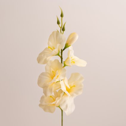 c8427ad8 2302 4b5c 9e49 6231138516cb