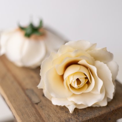 e95cf083 c45b 461b a86f 5040df392ccc