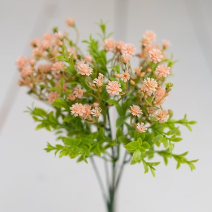 f8e6da64 aa37 41e5 ad27 636c3593257f