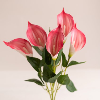 af182e09 e359 4c58 9f52 179c2b7f3b3d