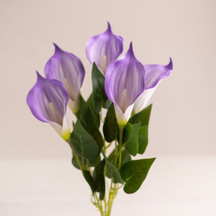 24001736 1998 438c b63e 961d12cf3784