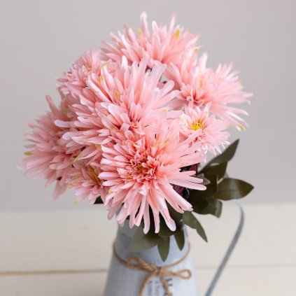 e6a32ac6 debd 4ddd a27d 0167df9cef76