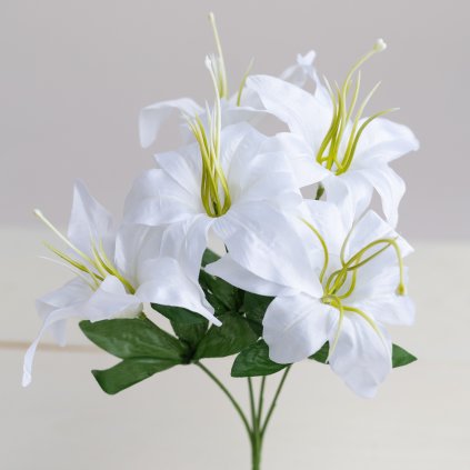 dd43a0cc 9f41 439c 903d 97860cb700d9