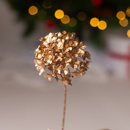 3b81cd11 0453 48e4 8d1d 433138bc8584