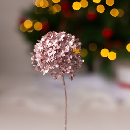 862b2fea 2c05 4940 9321 dbd52a8ead56