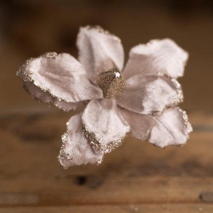 1679c400 6651 47d5 a75f 7423323b1ce9