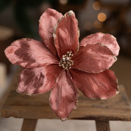 d3832d9b e822 4101 8cb4 5d9534d23b79