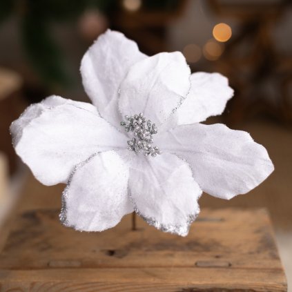 12c2585c 9d77 4ea1 8e65 4204da4fb7c8