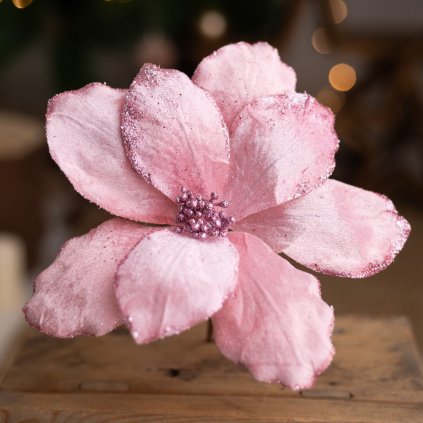 ac237f39 0ca6 44f5 a755 978298f18b17