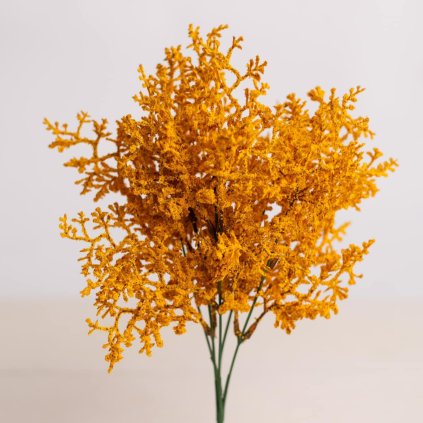 a4a94472 ee61 4a3f aa82 b2a0bb89bda7