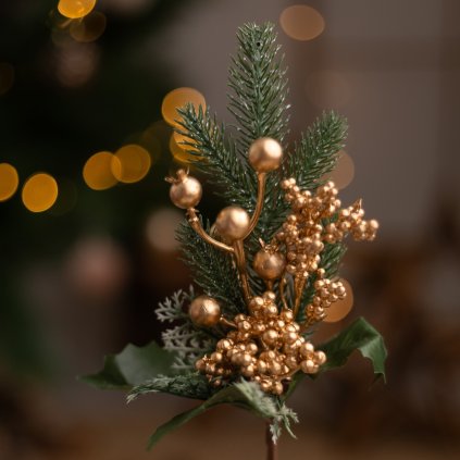 afa1f4cd 5ef9 4f22 acad 89d416808294