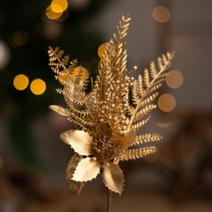 52fd044f 6625 4fc1 a462 709f7d3eb55f