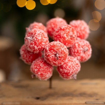 25467858 3a6c 4b4a 9958 19d136720b09