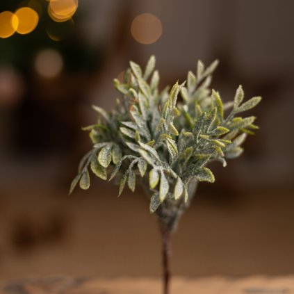 af82d588 32b3 421b 8843 81c845a7b5b6