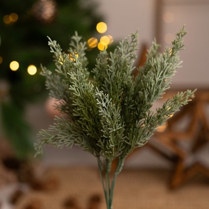 a34669a7 4006 44a4 94cf 157f60c83db8