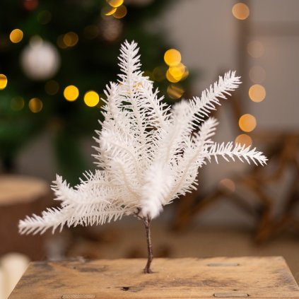 ffcef9b6 0609 42ca afcf d4547da4762b